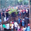 Ribuan penonton memadati arena adu bagong, di dusun Kucing, Sumedang.